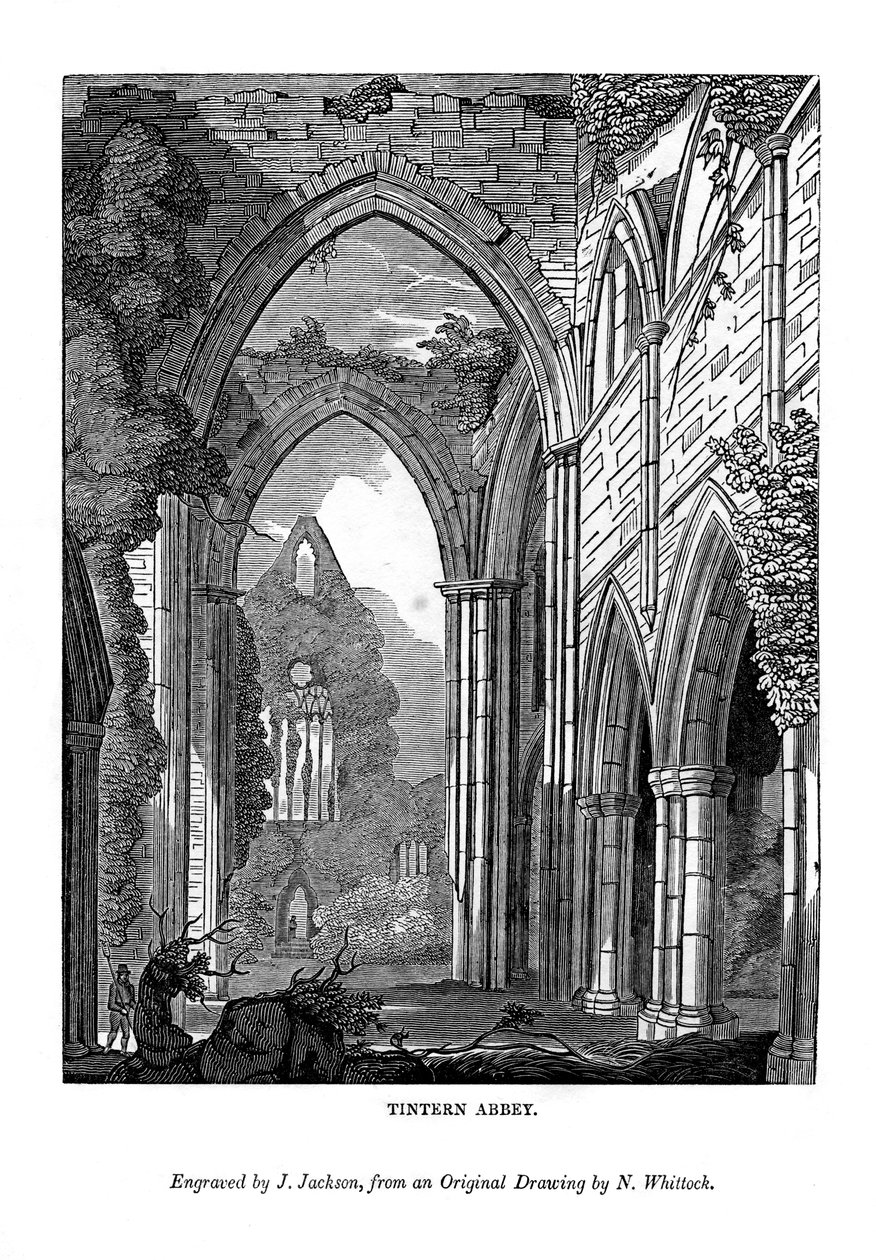 Tintern Abbey by J. Jackson