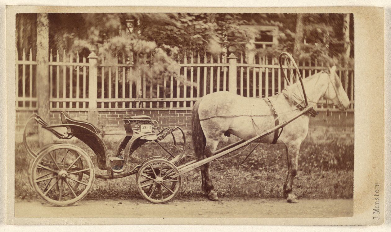 Small Carriage with Horse by J. Monstein
