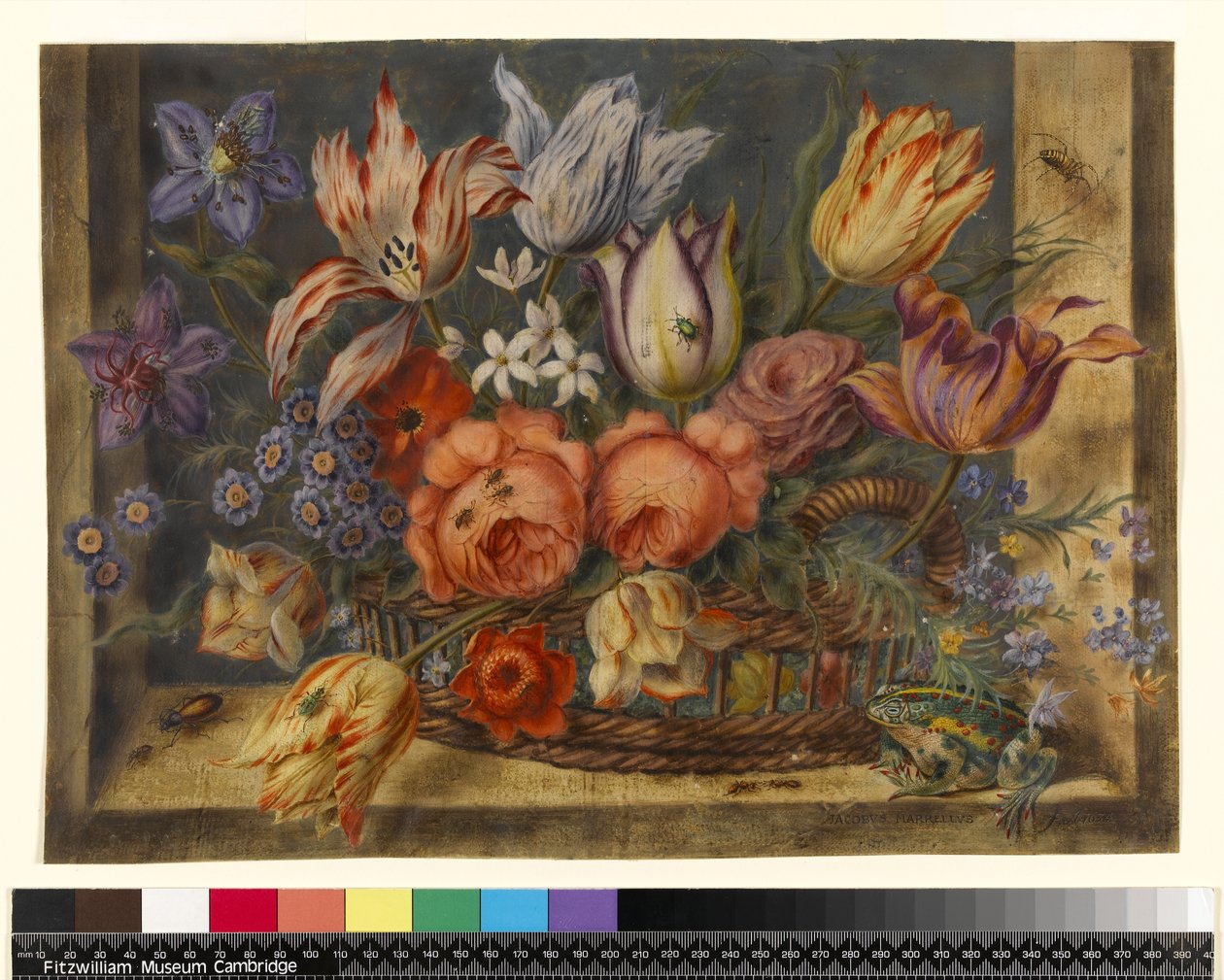 Flowers in a Basket with Frogs and Insects by Jacob Marrel