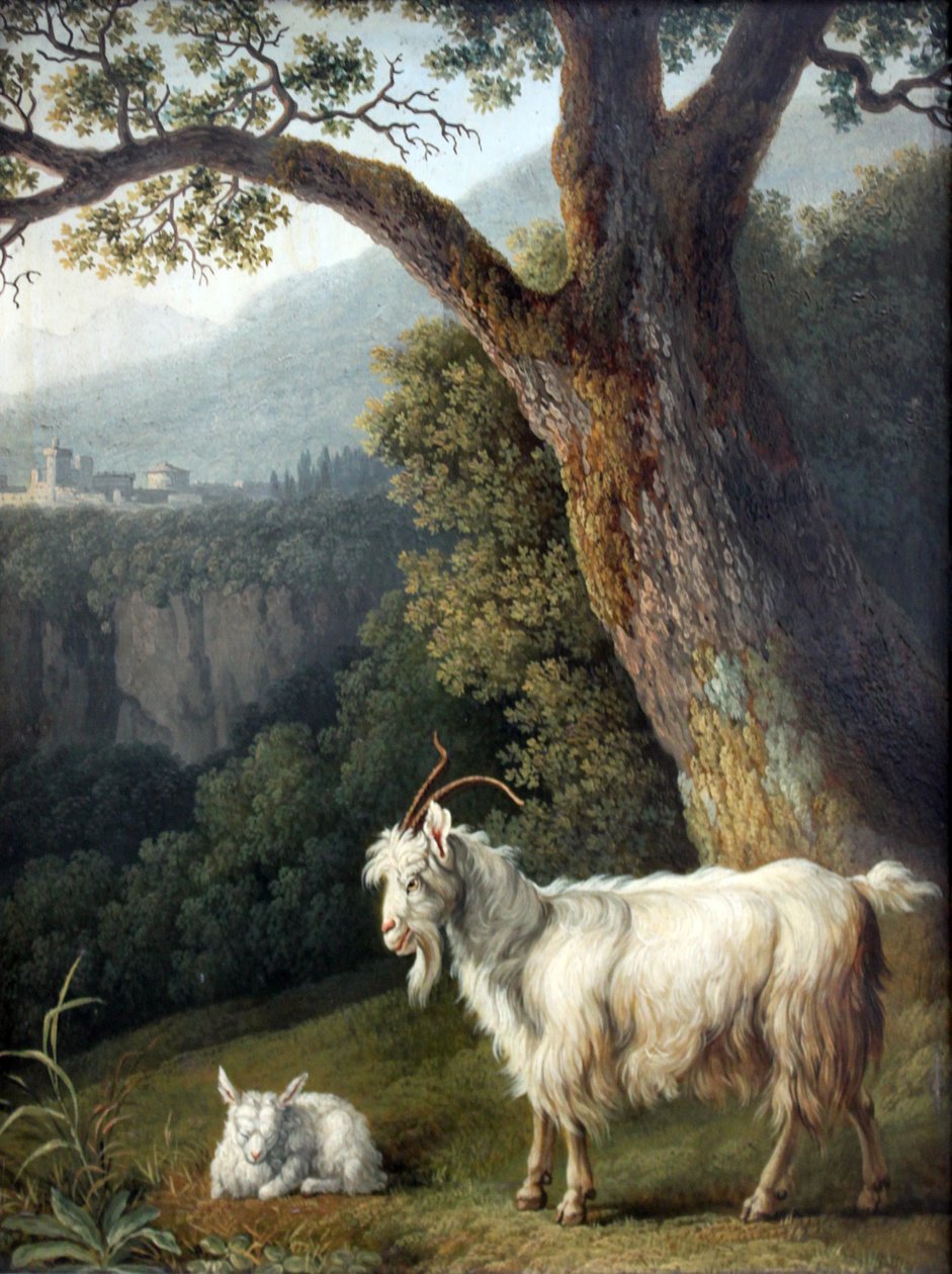 Goat and Lamb by Jacob Philipp Hackert