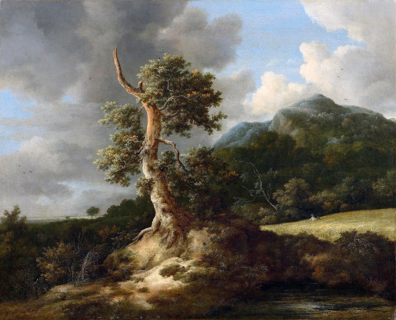 Mountain Landscape with Gnarled Oak in Front of a Cornfield by Jacob van Ruisdael