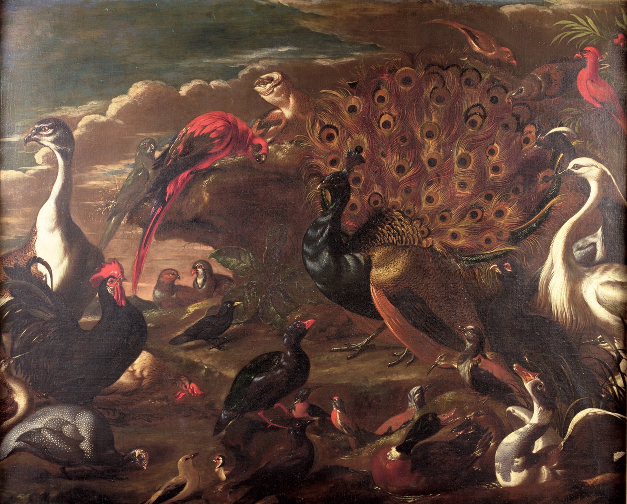 The Birds and the Beasts by Jacob van der Kerckhoven