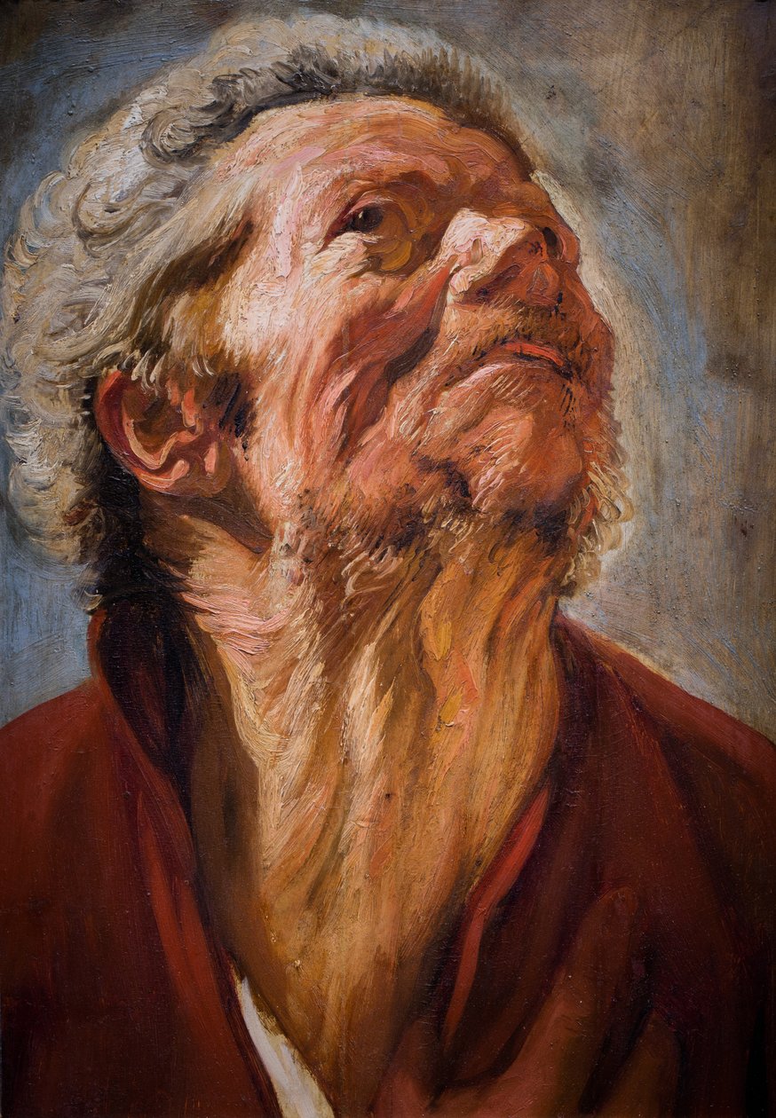 Study Head by Jacob Jordaens
