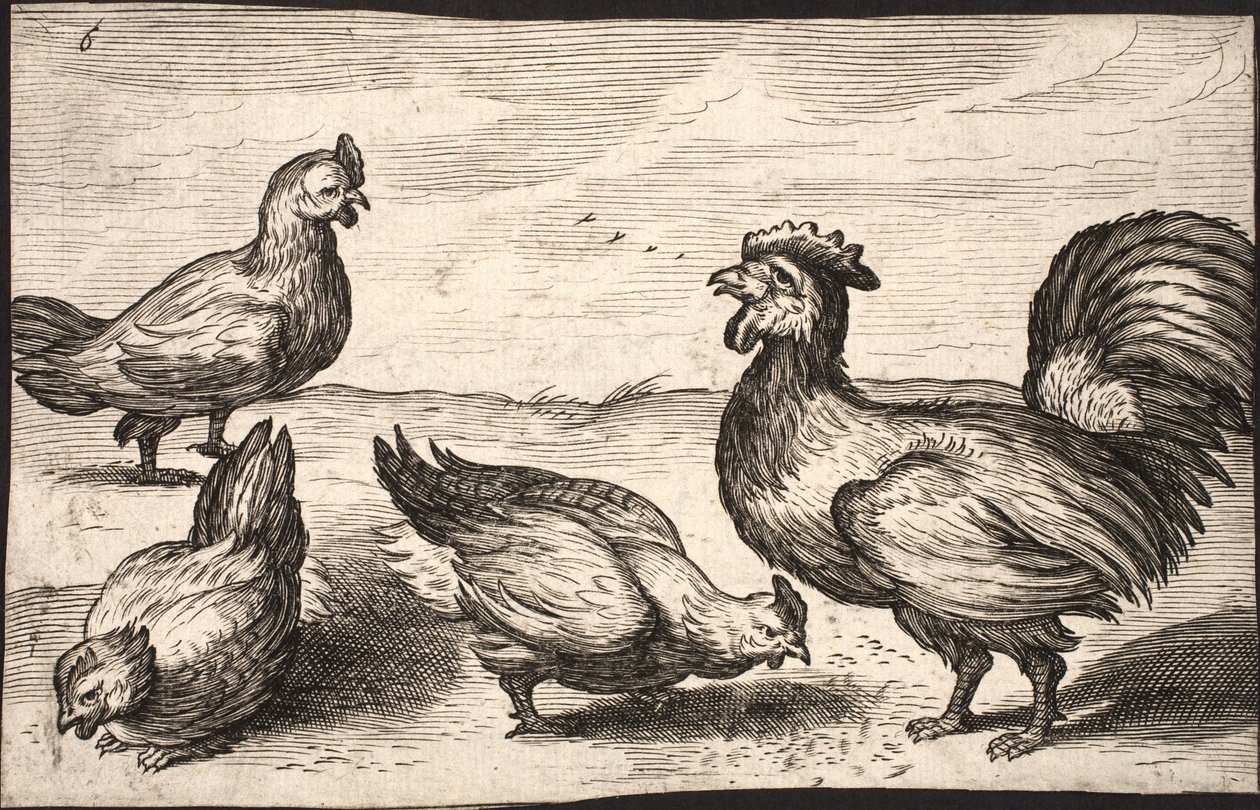 A Cock with Three Hens by Jacob Matham