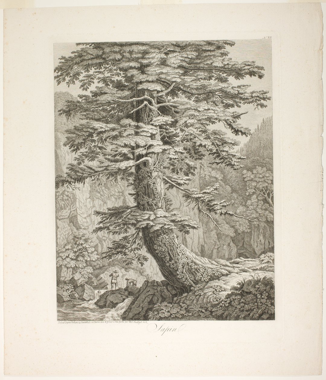 Fir Tree by Jacob Philipp Hackert