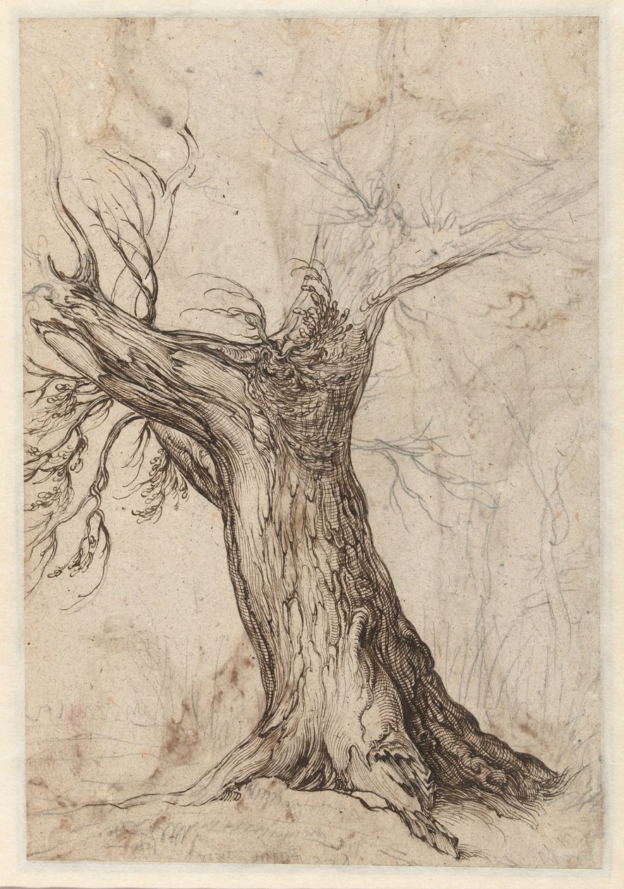 Chestnut Tree with Some Surrounding Trees by Jacob de Gheyn (II)