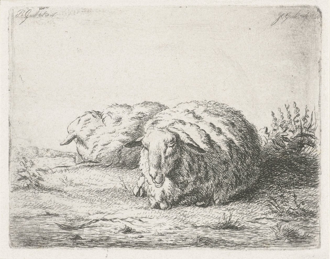 Two Lying Sheep by Jacobus Cornelis Gaal