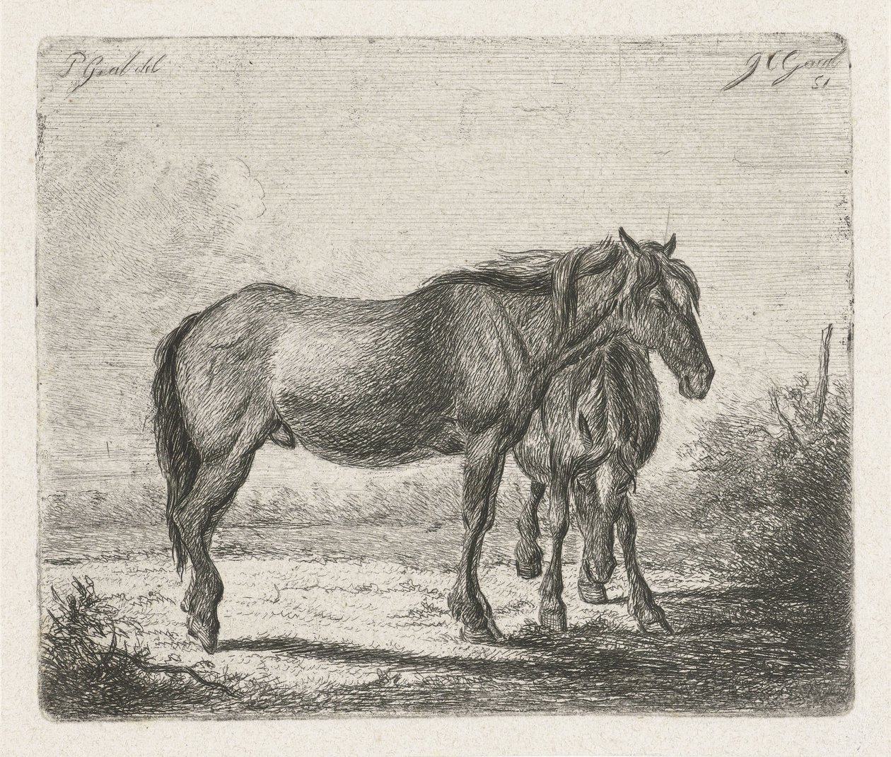 Two Horses by Jacobus Cornelis Gaal