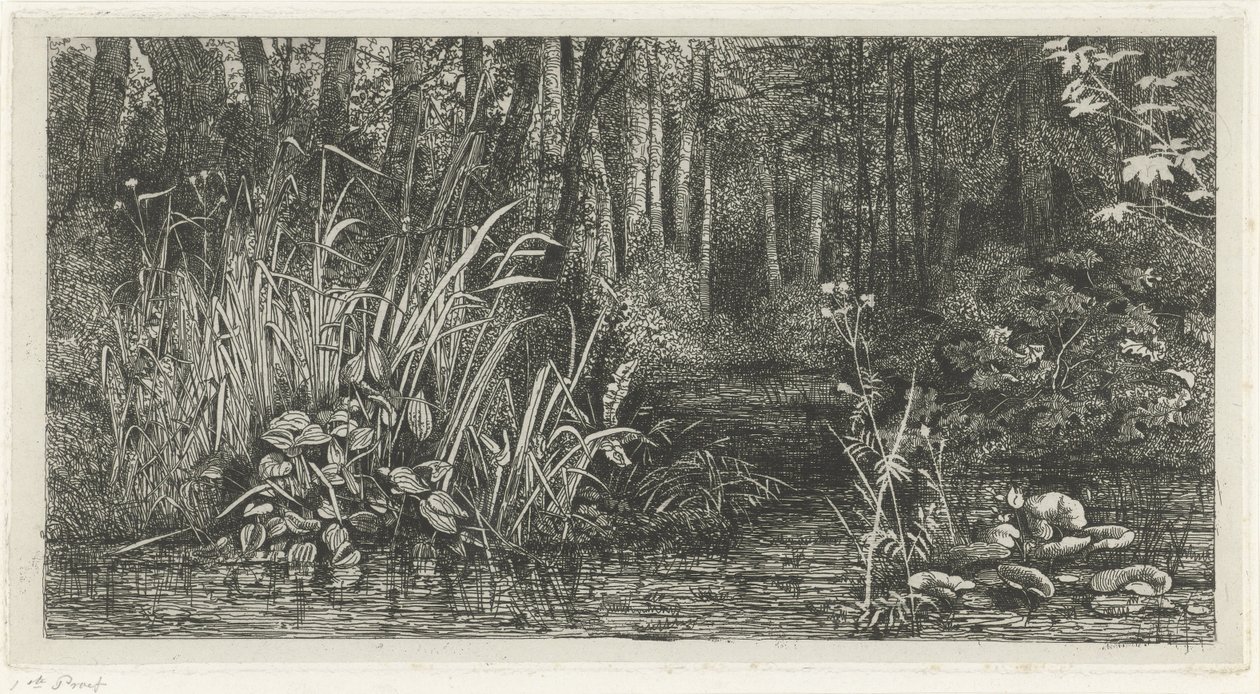 Forest Stream by Jacobus Ludovicus Cornet