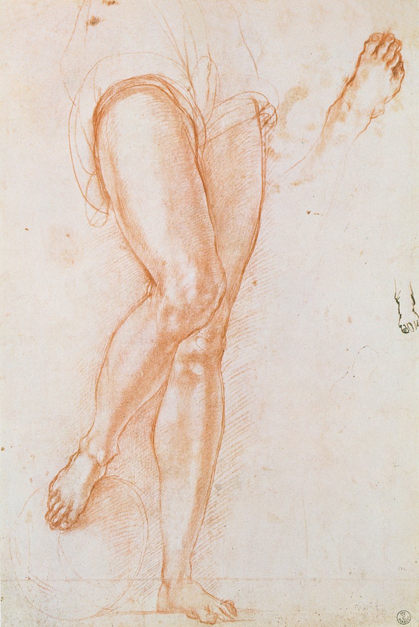 Study of a pair of legs and two feet for a figure of St. Michael by Jacopo Pontormo