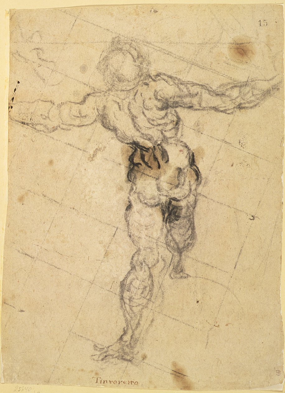Study of a Male Nude from Behind by Jacopo Robusti Tintoretto