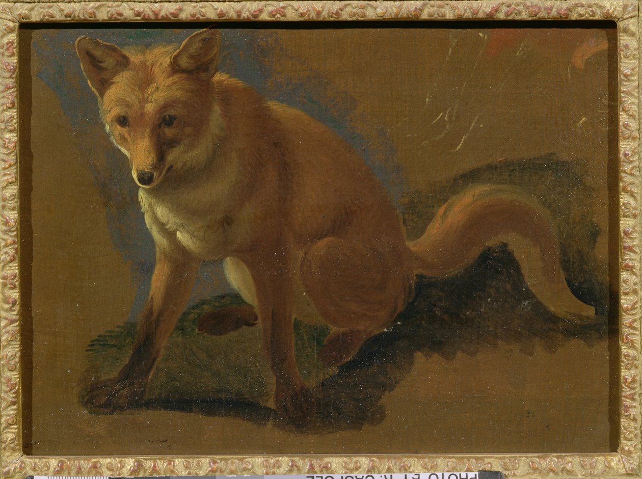 Study of a Fox by Jacques Laurent Agasse