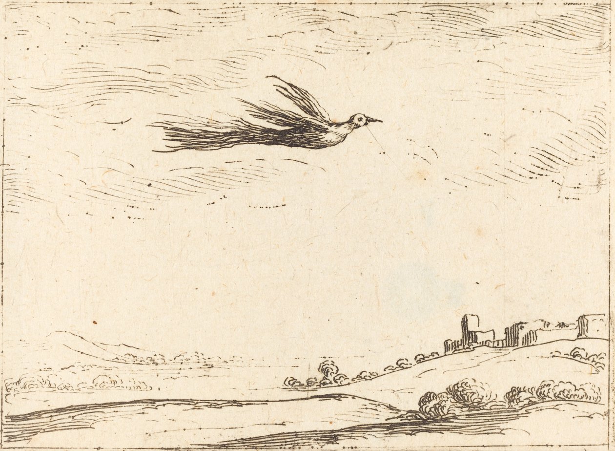 Bird of Paradise by Jacques Callot