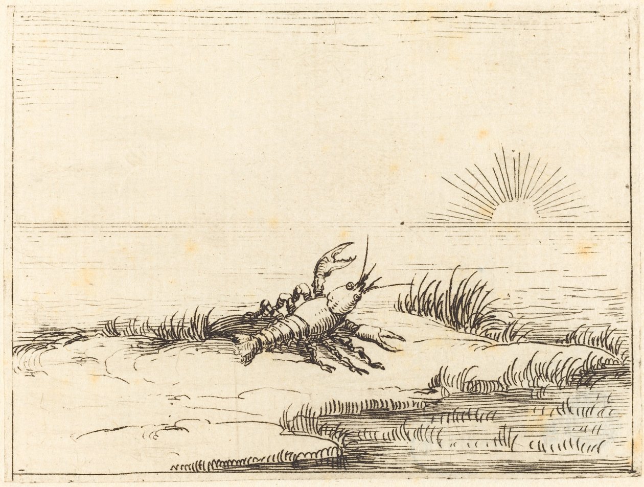 Crayfish Looking at the Sun by Jacques Callot