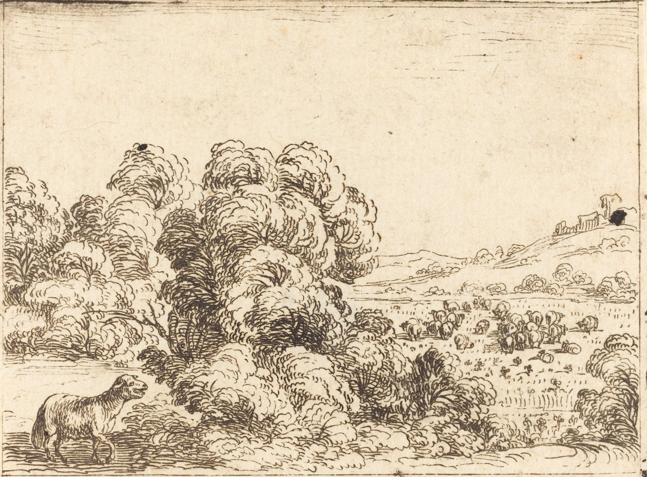 Sheep Calling Lamb by Jacques Callot