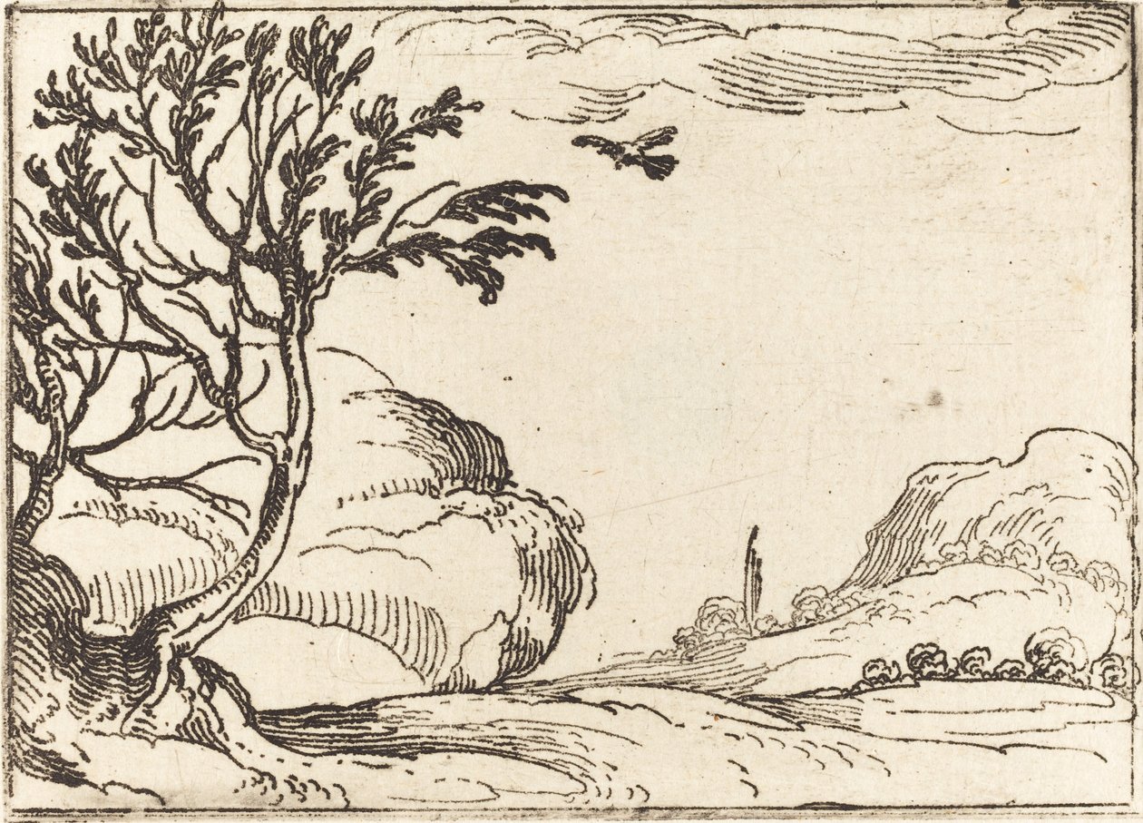 Turtle Dove Flying in the Desert by Jacques Callot