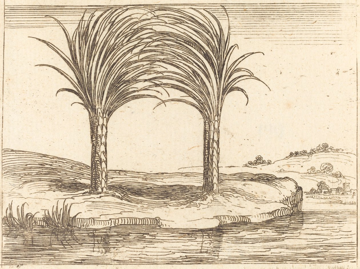 Two Palm Trees by Jacques Callot