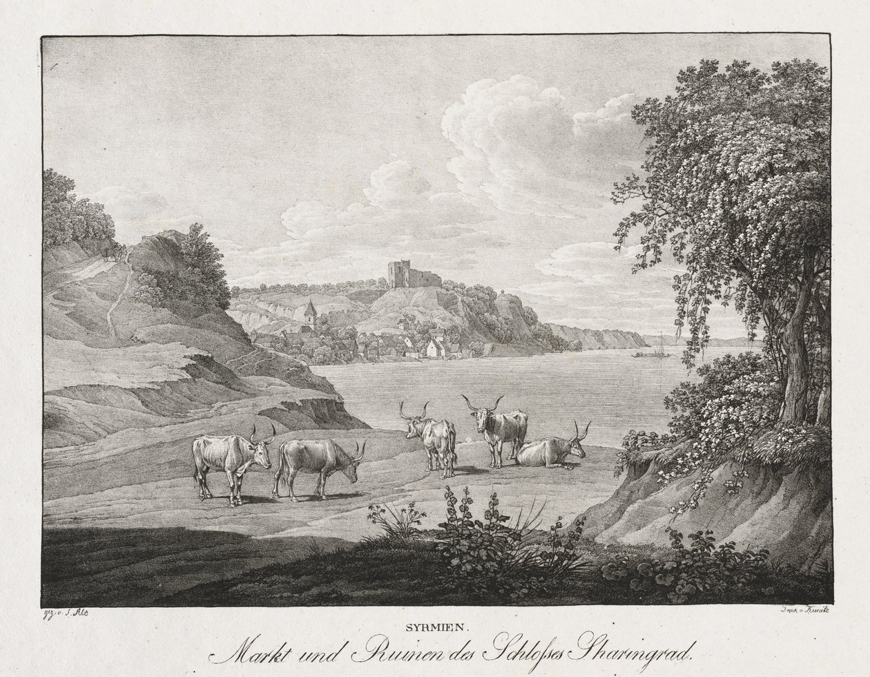 Syrmia, Market and Ruins of Sharengrad Castle by Jakob Alt