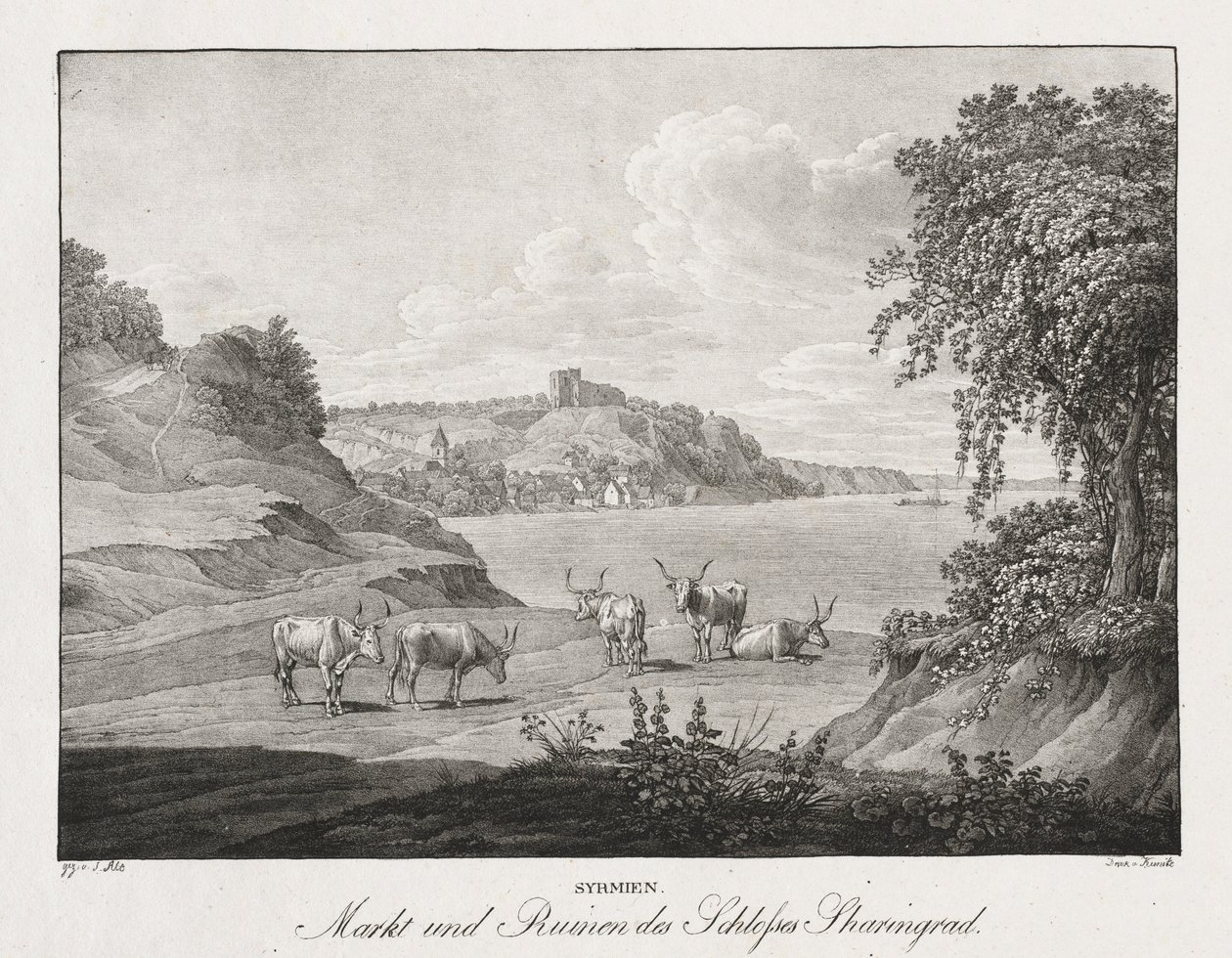 Syrmien, Market and Ruins of the Sharengrad Castle by Jakob Alt