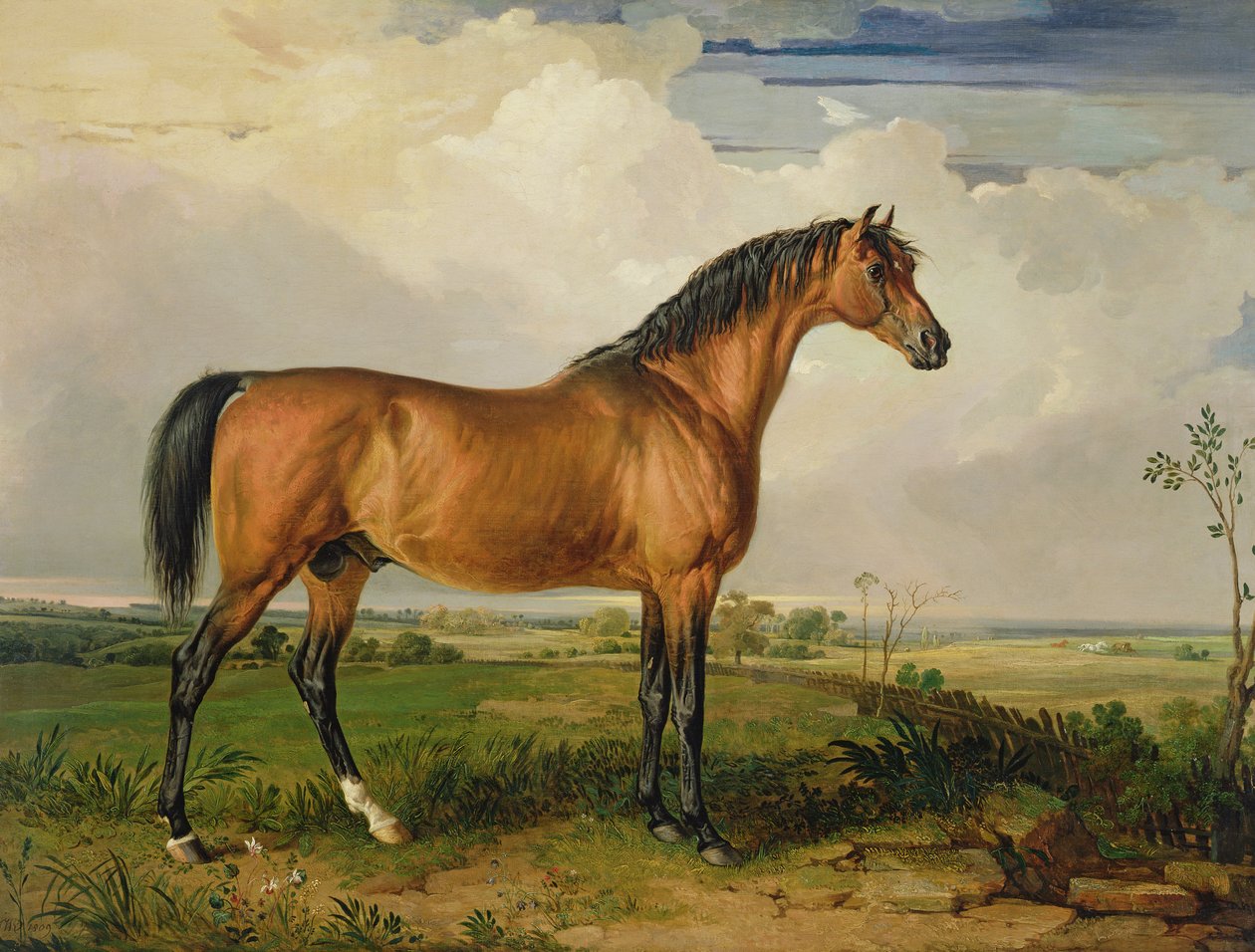 Eagle, a Celebrated Stallion by James Ward