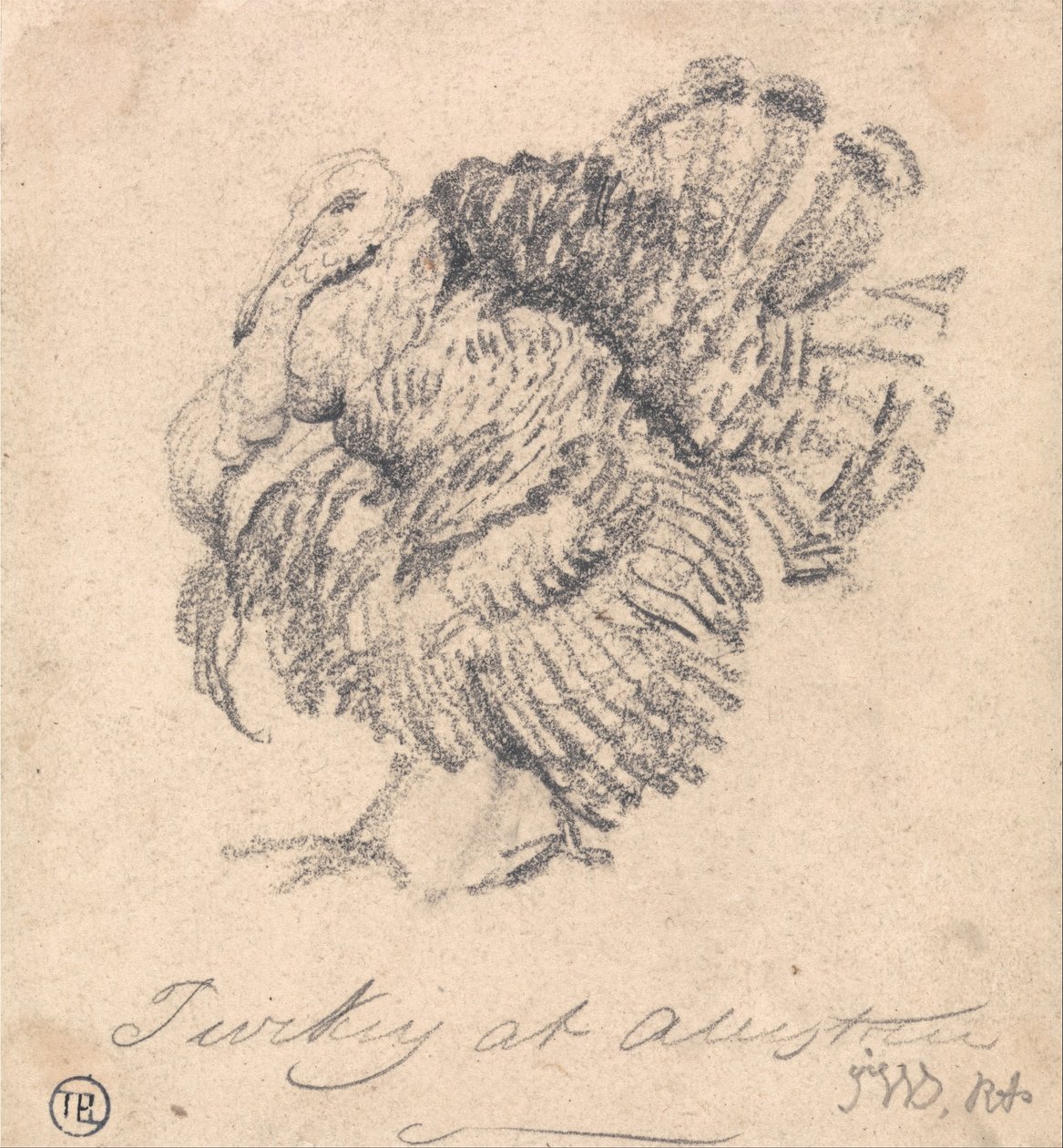 Study of a Turkey by James Ward