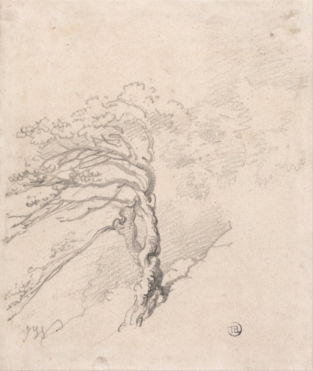 Tree on a Hillside by James Ward