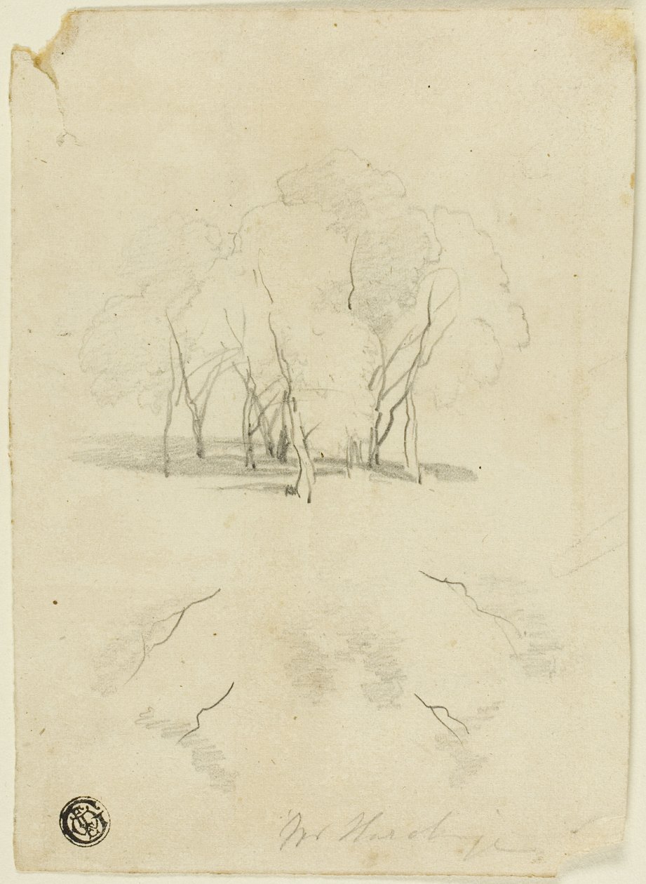 Clump of Trees by James Duffield Harding