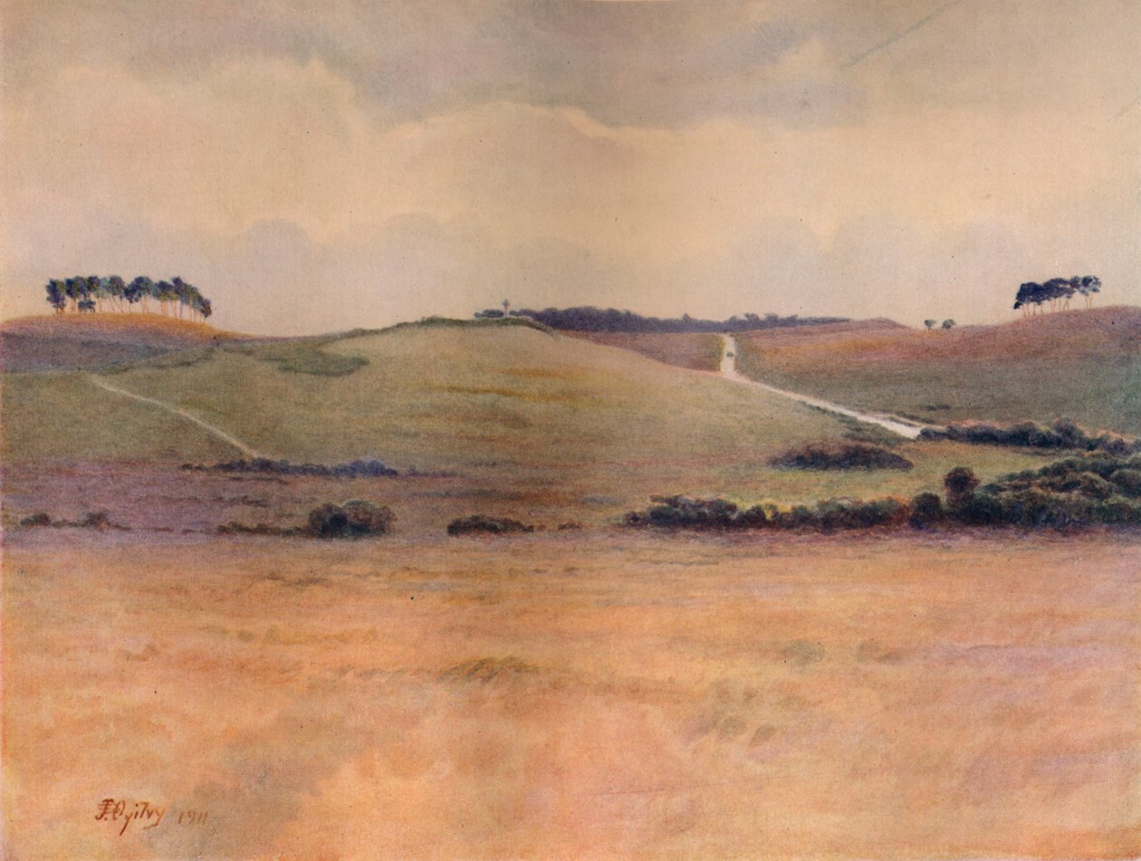 Chobham Common, 1911 by James S Ogilvy