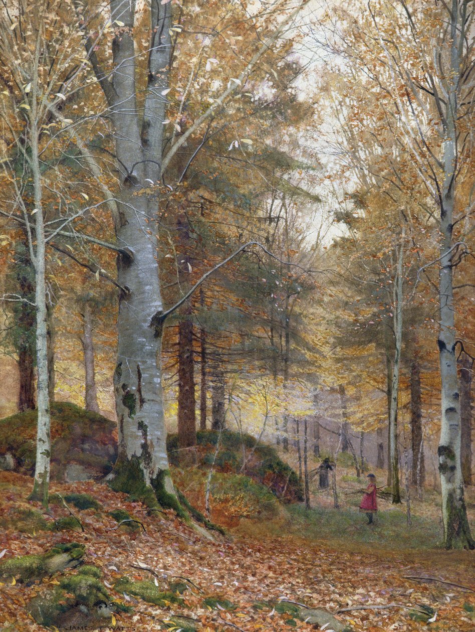 Autumn in the Woods by James Thomas Watts