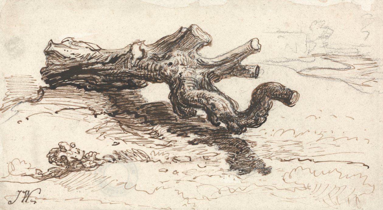 A Tree Trunk on the Ground by James Ward