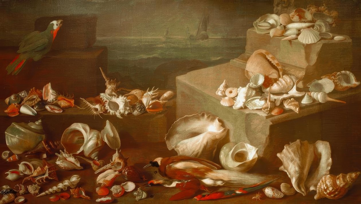 Still Life with Snails and Shells by Jan Davidsz de Heem