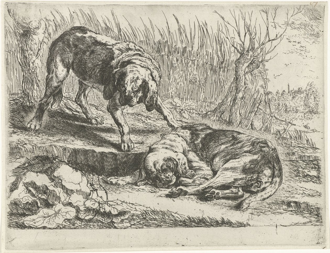 Two Dogs by Jan Fyt