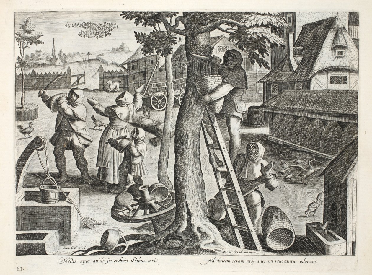 Beekeepers, plate 83, illustration from 