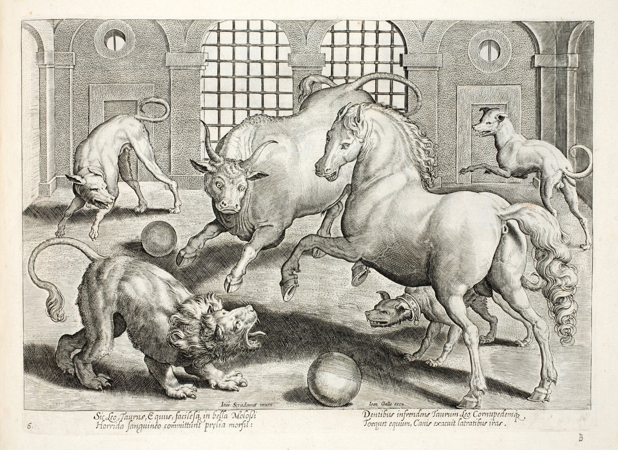 Fierce, bloody fighting between a lion, bull and horse, surrounded by angry barking dogs, illustration from 