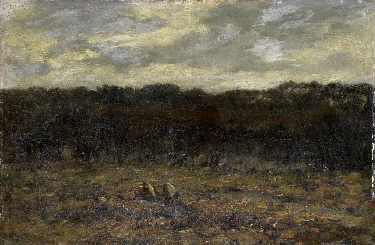 Little Fen on the Heath by Jan Adam Zandleven