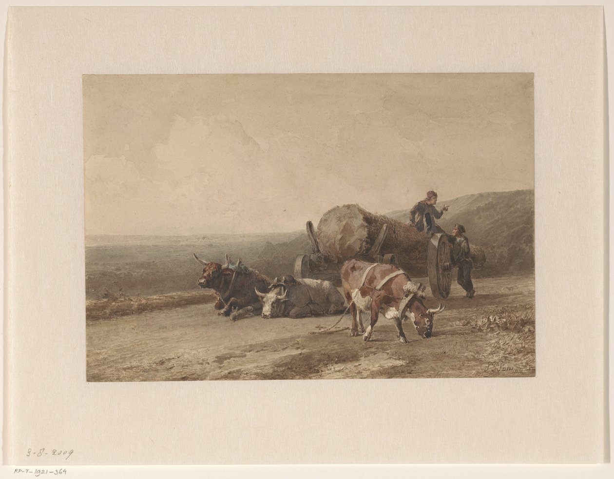 Resting Oxen by Jan Bedijs Tom