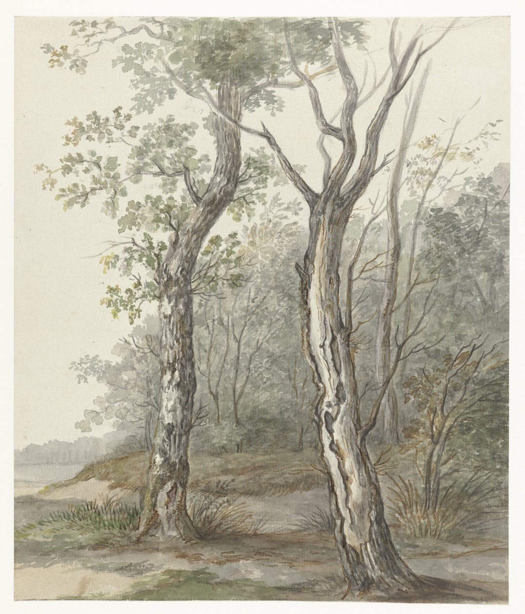 Forest Landscape by Jan Dasveldt