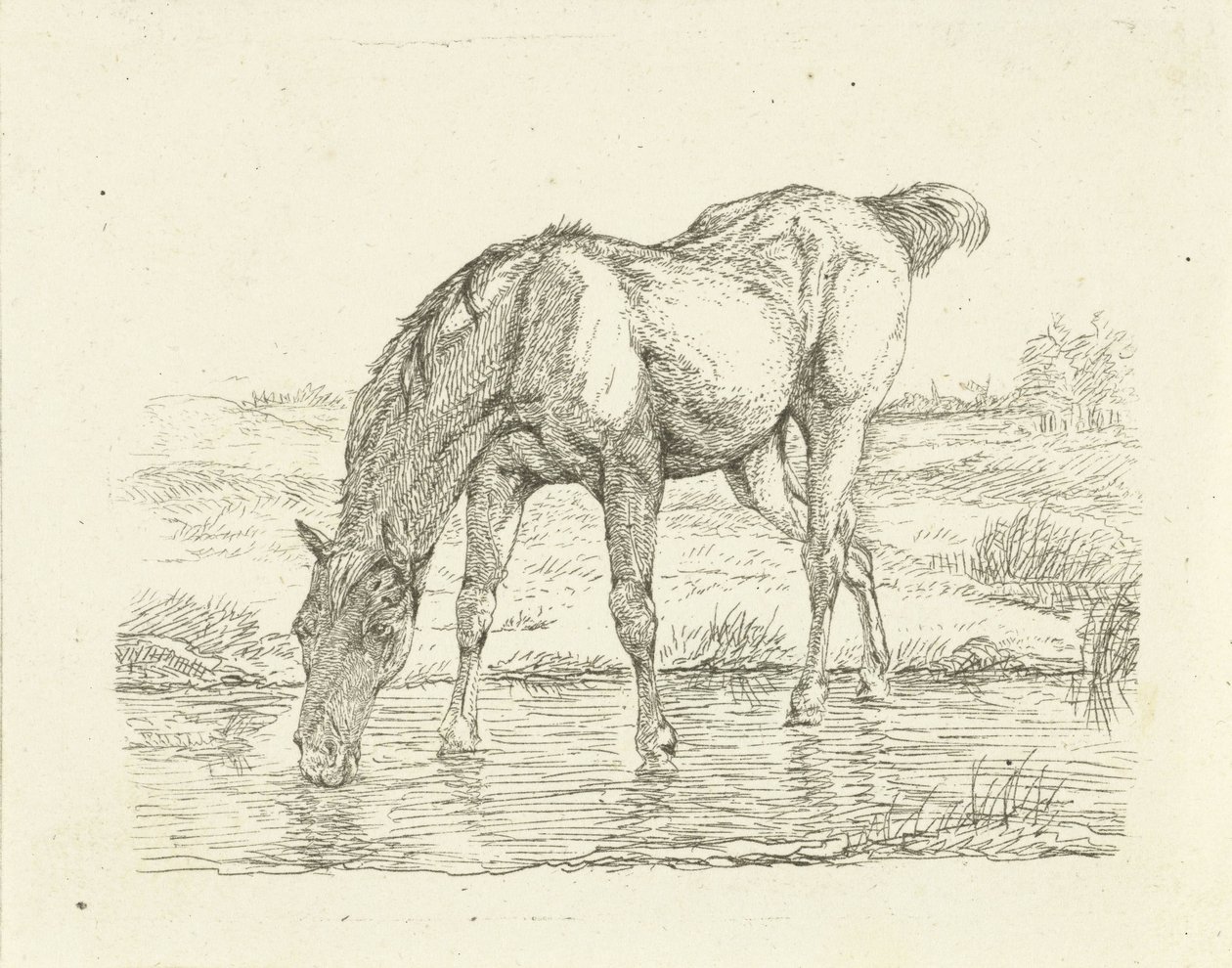 Drinking Horse by Jan Dasveldt