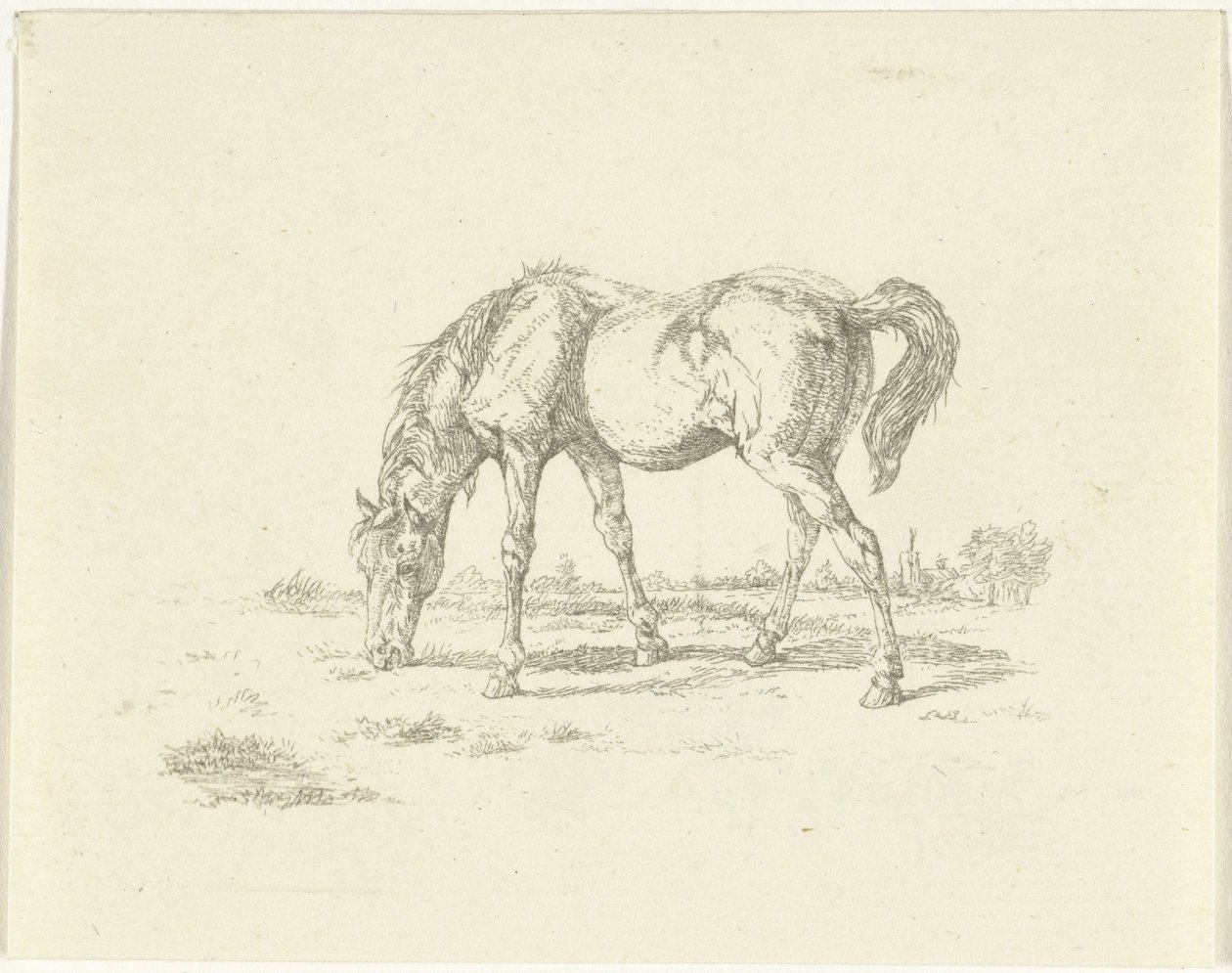 Grazing Horse Facing Right by Jan Dasveldt