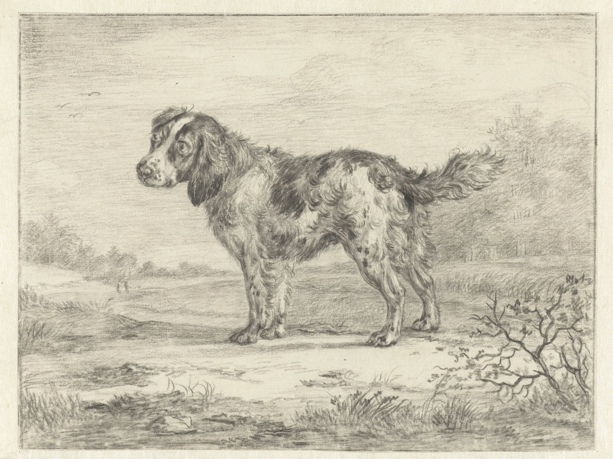 Spaniel Standing in a Landscape by Jan Dasveldt