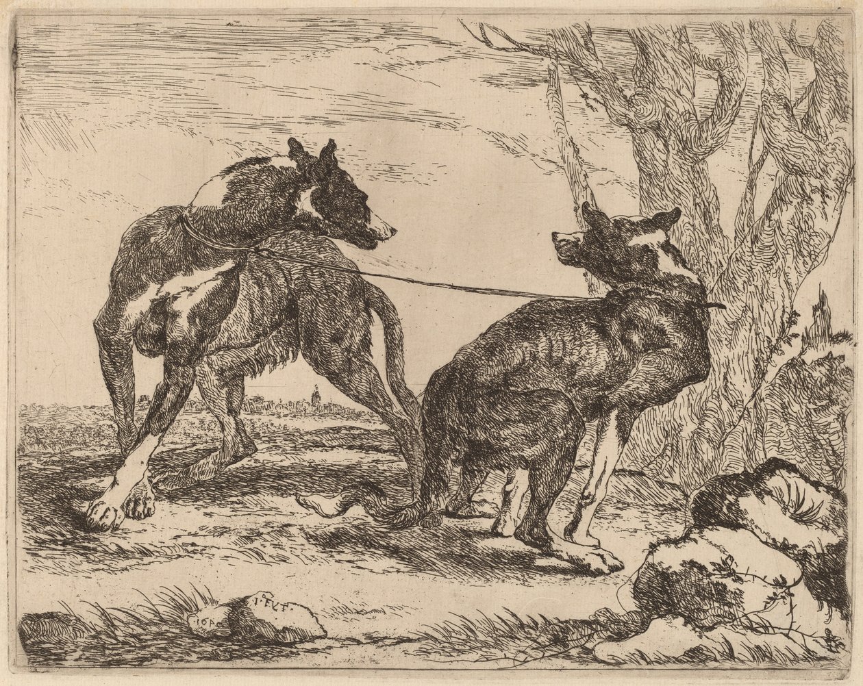 Two Greyhounds, Leashed and Facing Each Other by Jan Fyt