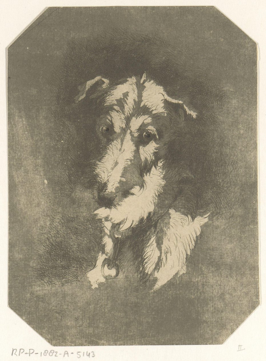 Head of a Greyhound by Jan Karel Jacob de Jonge