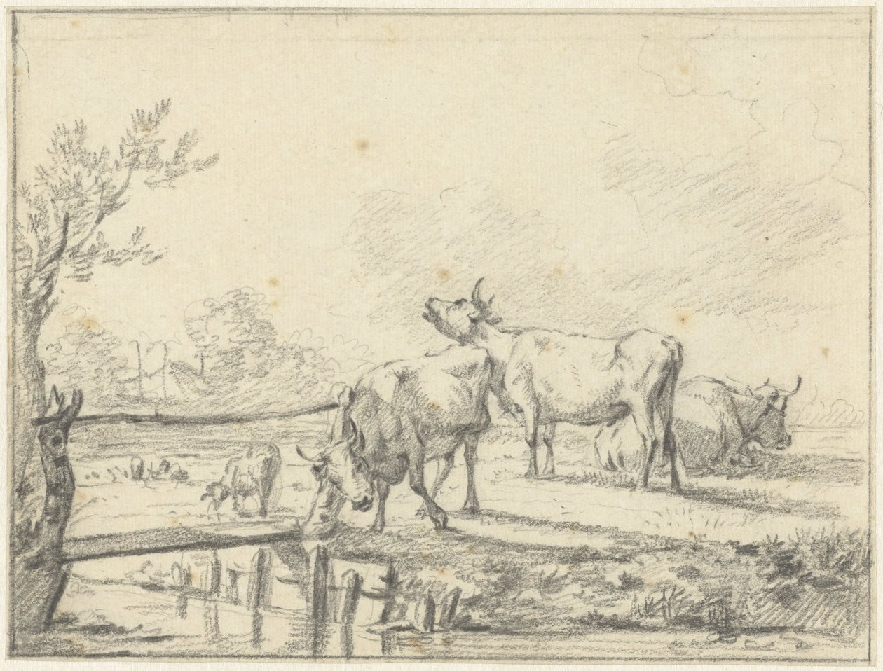 Cows in a Meadow by Jan Kobell (II)