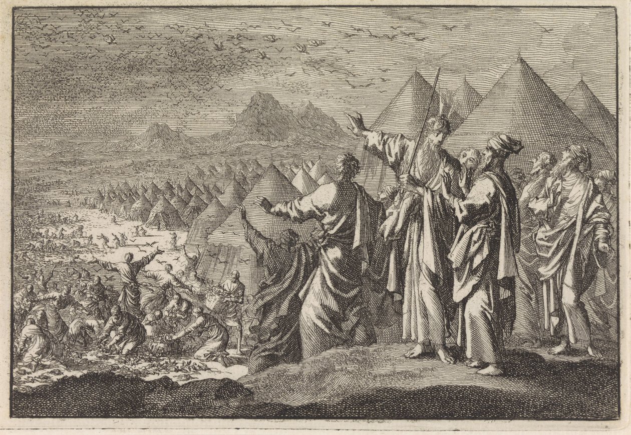 Quails in the Desert by Jan Luyken
