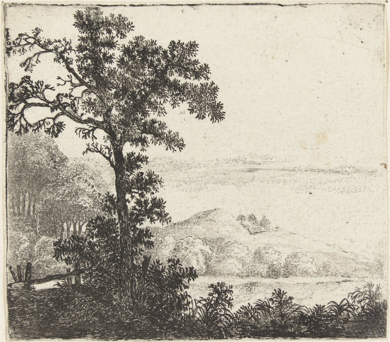Landscape with Tree by a Riverbank by Jan van Brosterhuyzen