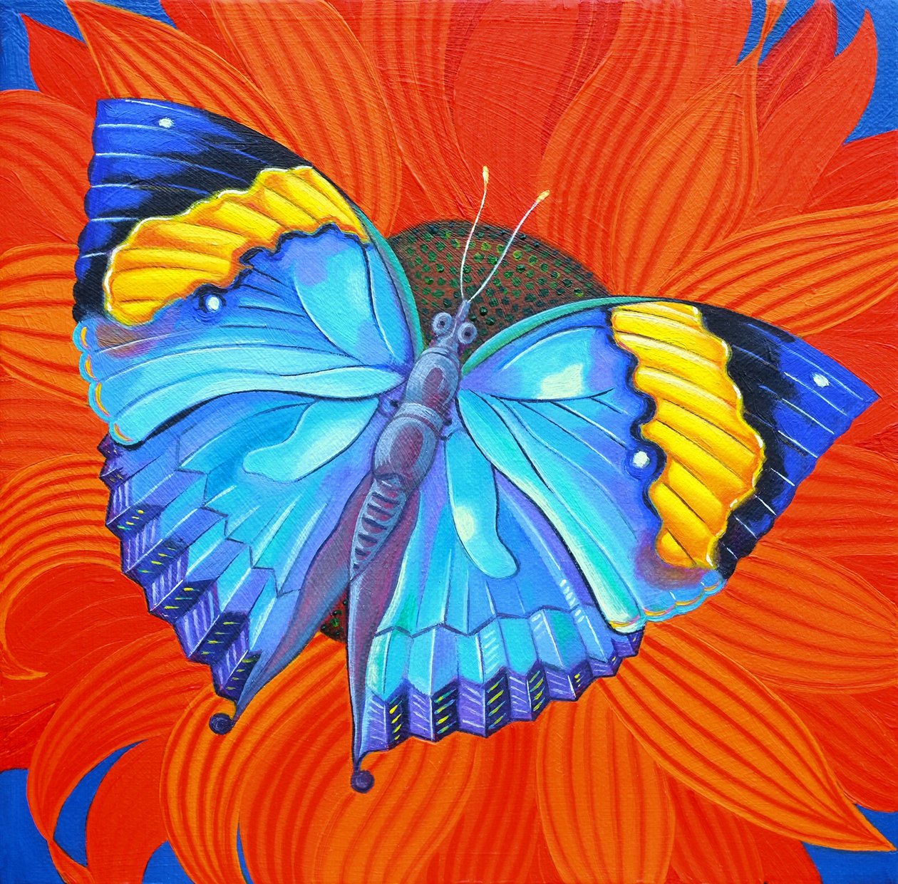 Indian Leaf Butterfly by Jane Tattersfield