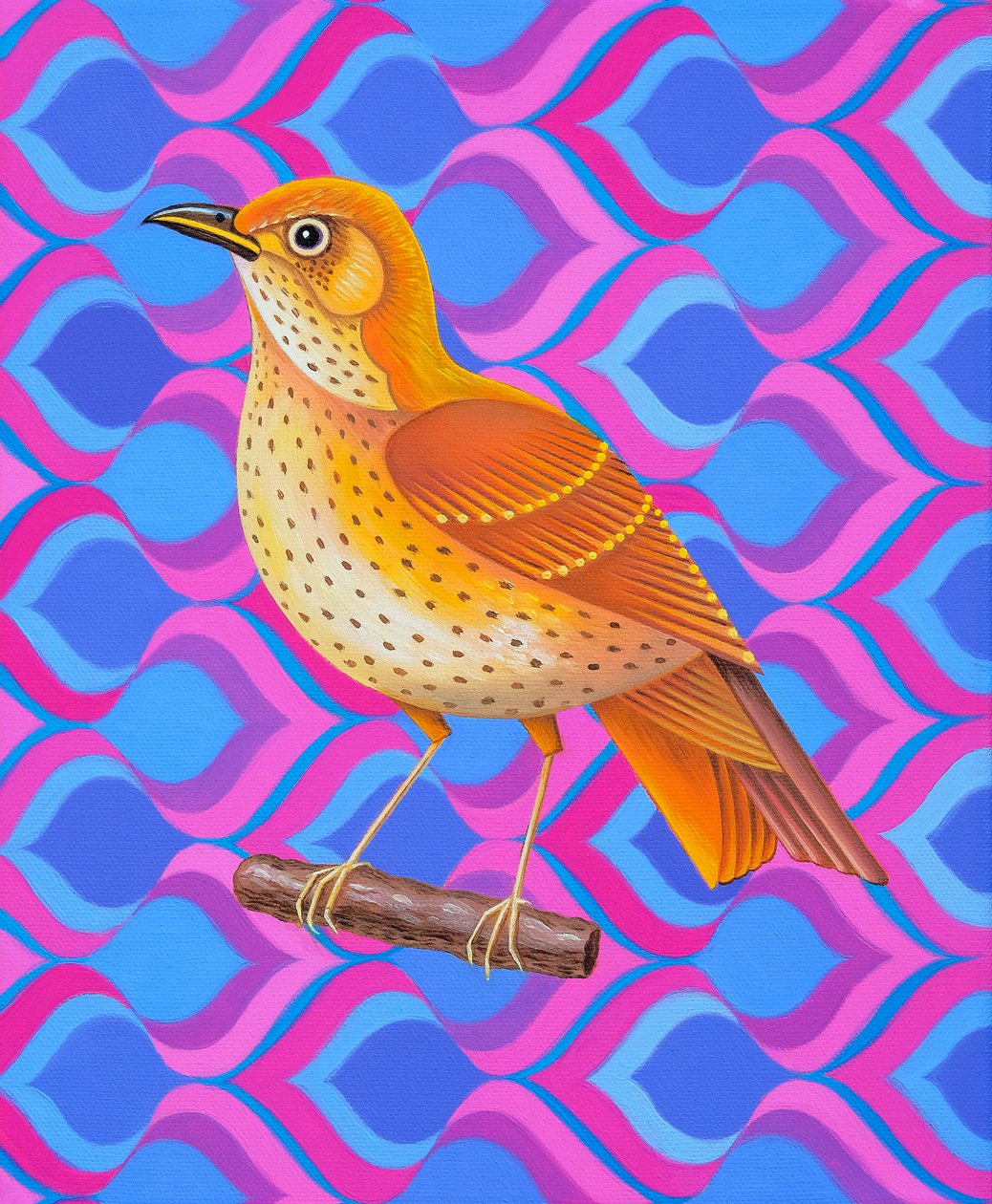 Song thrush by Jane Tattersfield