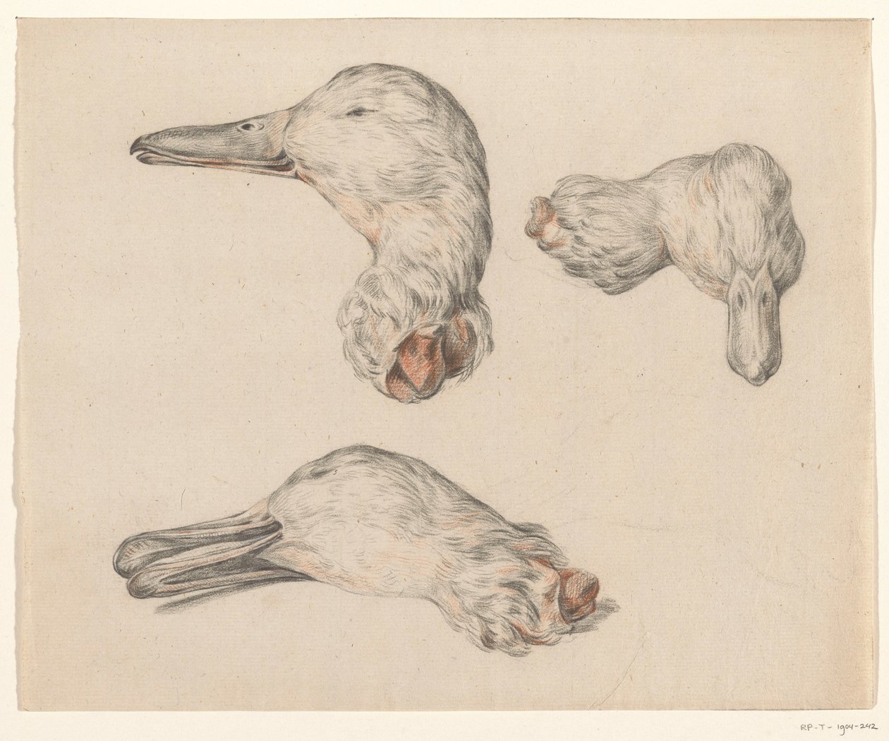 Severed Head of a Duck by Jean Bernard