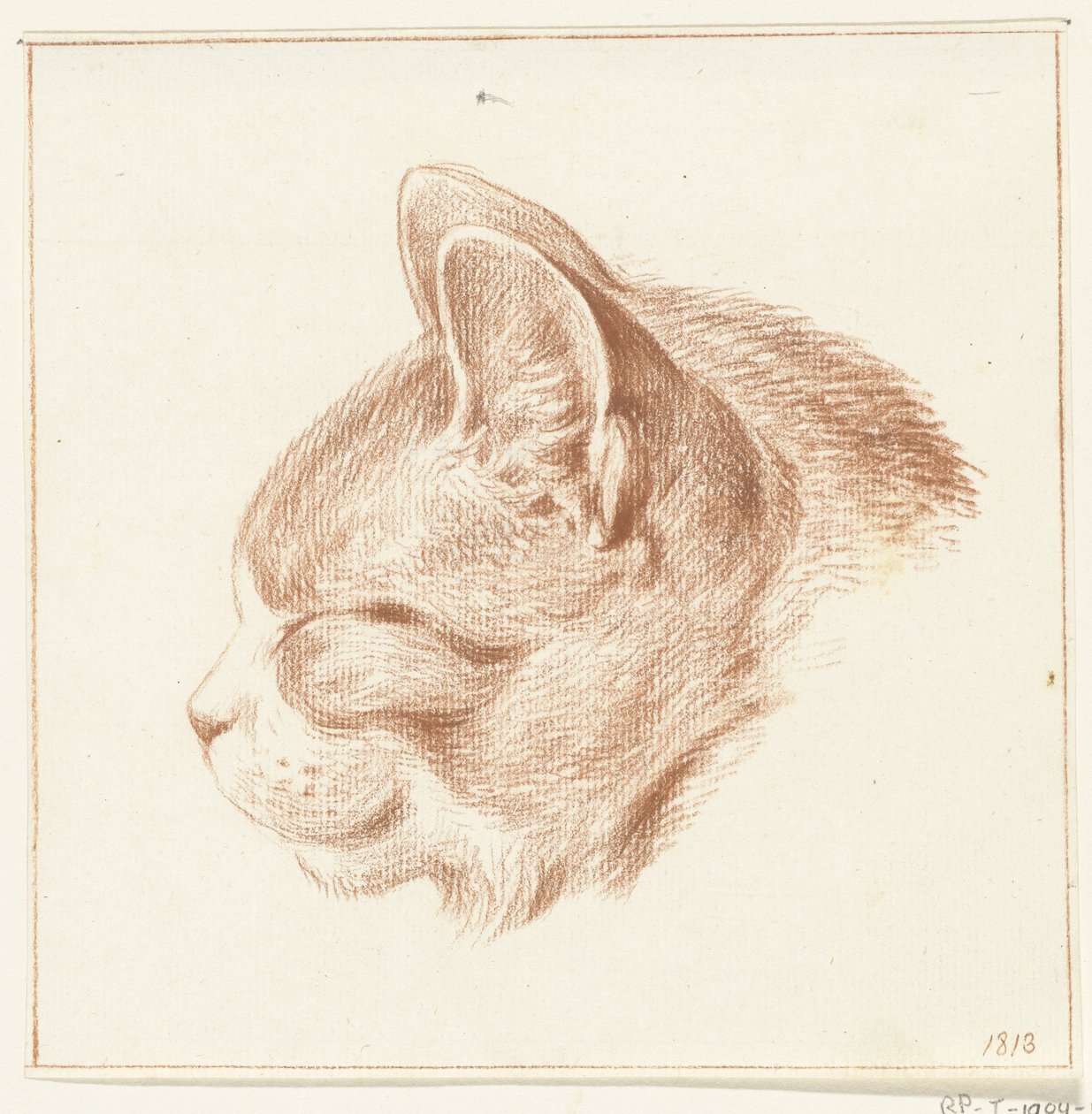 Head of a Cat, Facing Left by Jean Bernard