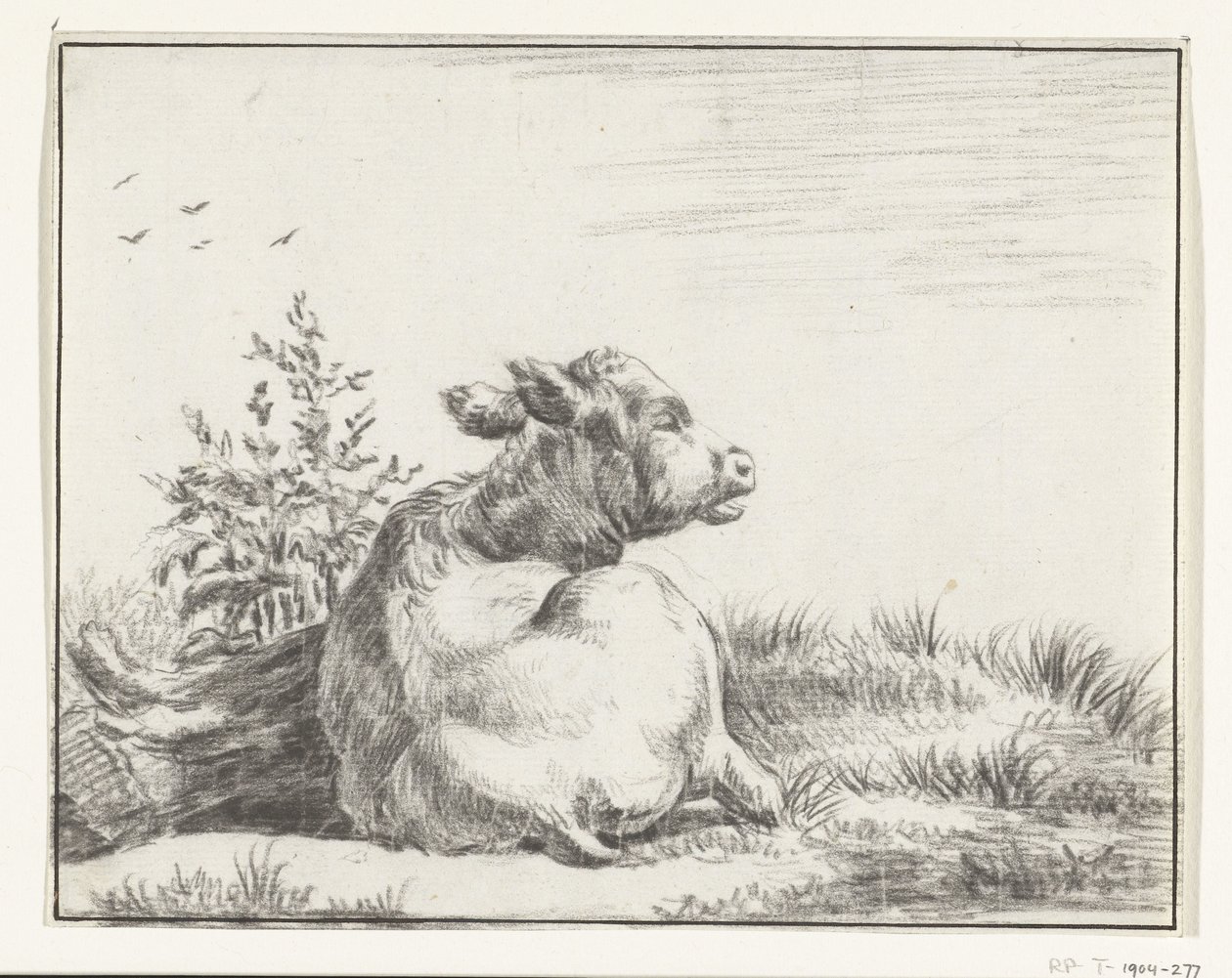 Lying Cow, from Behind by Jean Bernard